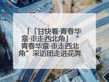 「甘快看·青春华章·重走西北角」“青春华章·重走西北角”采访团走进花舞南山 探寻天水乡村振兴之路