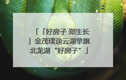 「好房子 郑生长」金茂璞逸云湖擎旗北龙湖“好房子”