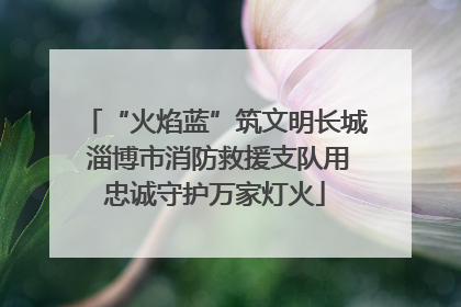“火焰蓝”筑文明长城 淄博市消防救援支队用忠诚守护万家灯火