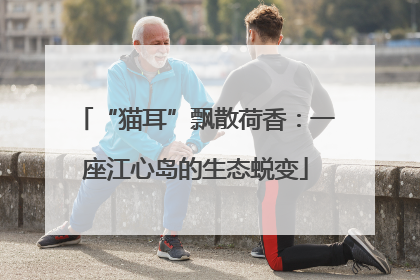 “猫耳”飘散荷香：一座江心岛的生态蜕变