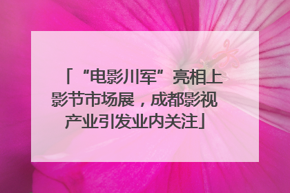 “电影川军”亮相上影节市场展，成都影视产业引发业内关注