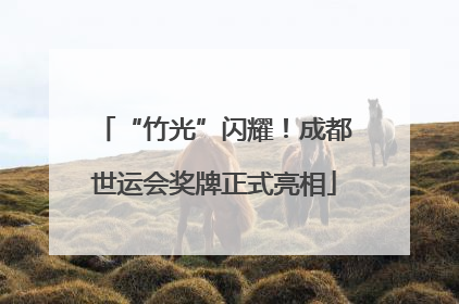 “竹光”闪耀！成都世运会奖牌正式亮相