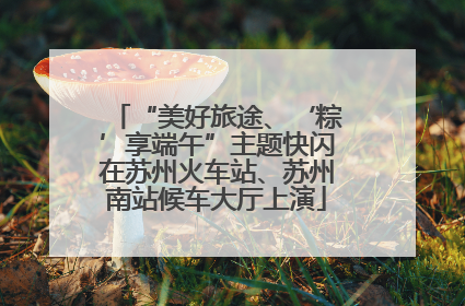 “美好旅途、‘粽’享端午”主题快闪在苏州火车站、苏州南站候车大厅上演