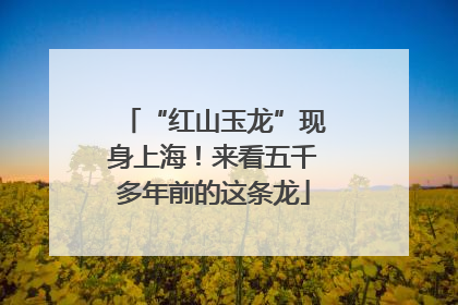 “红山玉龙”现身上海！来看五千多年前的这条龙