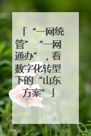 “一网统管”“一网通办”，看数字化转型下的“山东方案”