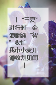 “三夏”进行时｜金浪翻涌“智”收忙——我市小麦开镰收割见闻