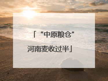 “中原粮仓”河南麦收过半
