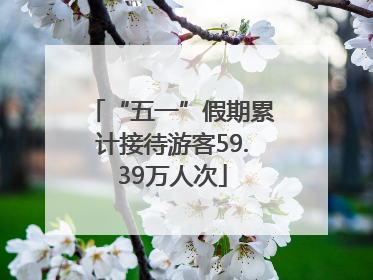 “五一”假期累计接待游客59.39万人次