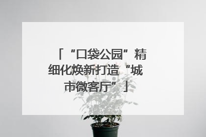 “口袋公园”精细化焕新打造“城市微客厅”