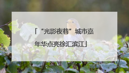 “光影夜巷”城市嘉年华点亮徐汇滨江