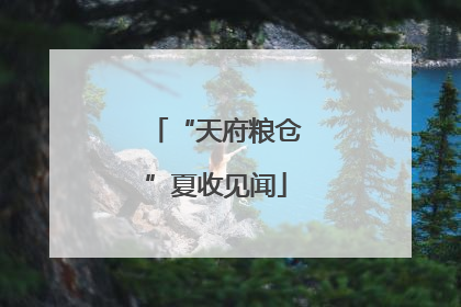 “天府粮仓”夏收见闻