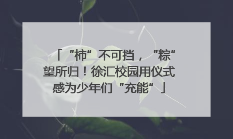“柿”不可挡，“粽”望所归！徐汇校园用仪式感为少年们“充能”