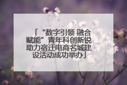 “数字引领 融合赋能”青年科创新锐助力宿迁电商名城建设活动成功举办