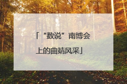 “数说”南博会上的曲靖风采