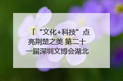“文化+科技”点亮荆楚之美 第二十一届深圳文博会湖北馆抢“鲜”看