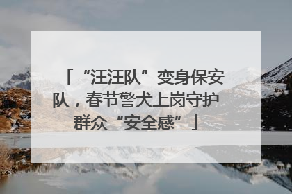 “汪汪队”变身保安队，春节警犬上岗守护群众“安全感”