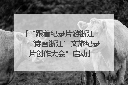 “跟着纪录片游浙江——‘诗画浙江’文旅纪录片创作大会”启动
