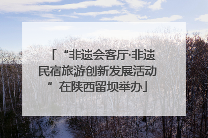 “非遗会客厅·非遗民宿旅游创新发展活动”在陕西留坝举办