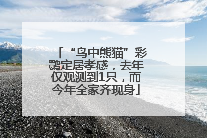 “鸟中熊猫”彩鹮定居孝感，去年仅观测到1只，而今年全家齐现身