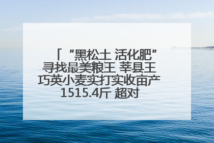 “黑松土 活化肥”寻找最美粮王 莘县王巧英小麦实打实收亩产1515.4斤 超对照田144斤！
