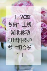 “AI监考员”上线 湖北移动打出科技护考“组合拳”