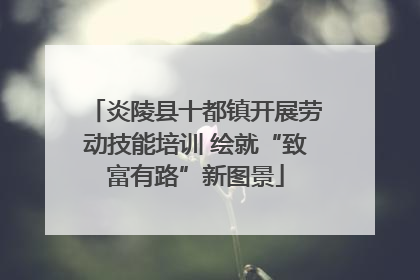 炎陵县十都镇开展劳动技能培训 绘就“致富有路”新图景