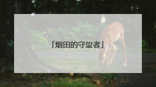 烟田的守望者