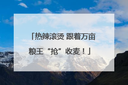 热辣滚烫 跟着万亩粮王“抢”收麦！
