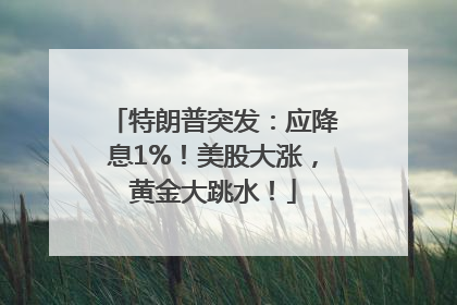 特朗普突发：应降息1%！美股大涨，黄金大跳水！