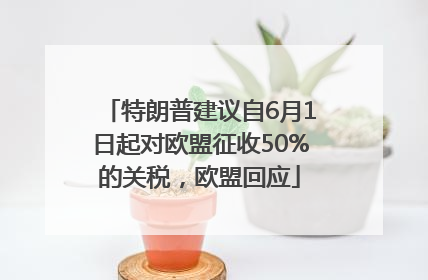 特朗普建议自6月1日起对欧盟征收50%的关税，欧盟回应