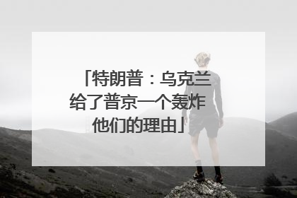 特朗普：乌克兰给了普京一个轰炸他们的理由