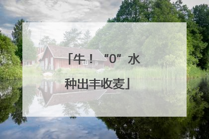 牛！“0”水种出丰收麦