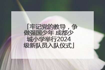 牢记党的教导，争做强国少年 成都少城小学举行2024级新队员入队仪式