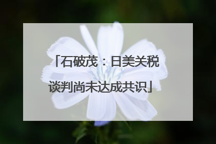 石破茂：日美关税谈判尚未达成共识