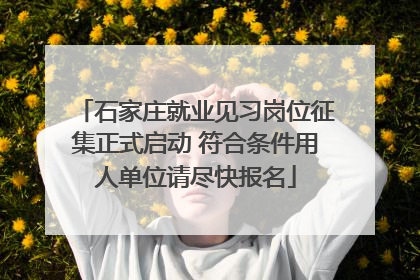 石家庄就业见习岗位征集正式启动 符合条件用人单位请尽快报名