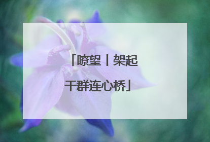 瞭望丨架起干群连心桥