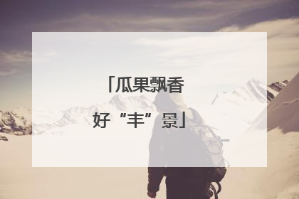 瓜果飘香 好“丰”景