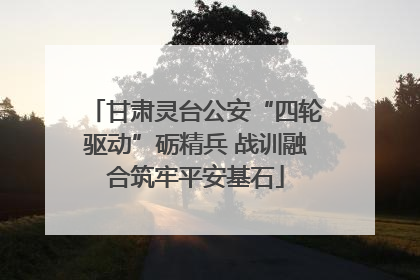 甘肃灵台公安“四轮驱动”砺精兵 战训融合筑牢平安基石