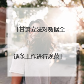 甘肃立法对数据全链条工作进行规范