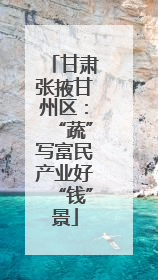 甘肃张掖甘州区：“蔬”写富民产业好“钱”景