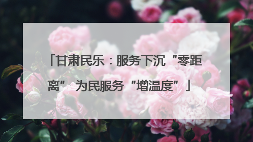甘肃民乐：服务下沉“零距离” 为民服务“增温度”