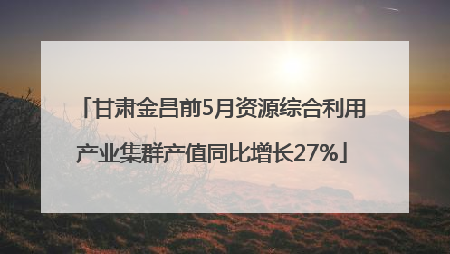 甘肃金昌前5月资源综合利用产业集群产值同比增长27%