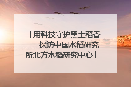 用科技守护黑土稻香——探访中国水稻研究所北方水稻研究中心