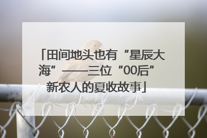 田间地头也有“星辰大海”——三位“00后”新农人的夏收故事