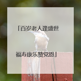 百岁老人逢盛世 福寿康乐赞党恩