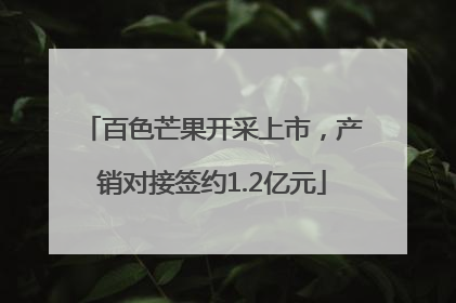 百色芒果开采上市，产销对接签约1.2亿元