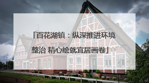 百花湖镇：纵深推进环境整治 精心绘就宜居画卷