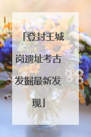 登封王城岗遗址考古发掘最新发现