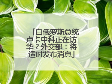 白俄罗斯总统卢卡申科正在访华？外交部：将适时发布消息