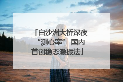 白沙洲大桥深夜“测心率” 国内首创稳态激振法